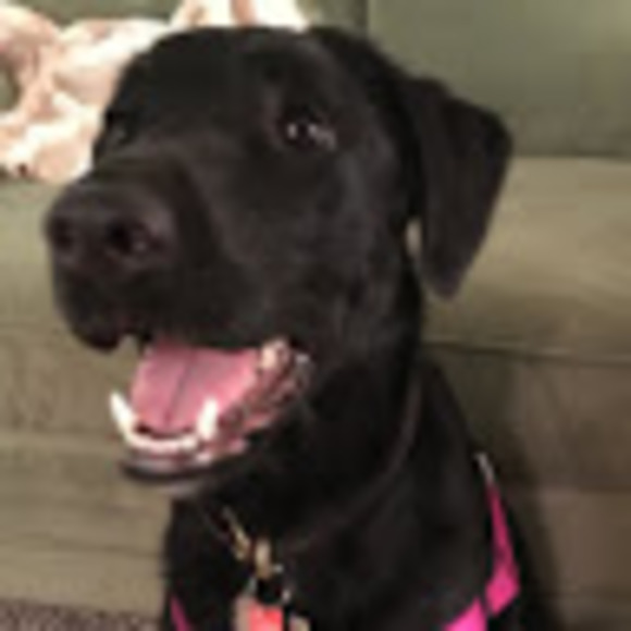 Meet your Posher, Miao - Picture 1 of 1